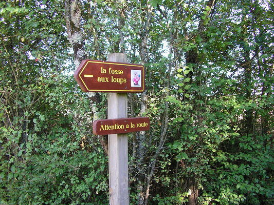 P1010004.JPG