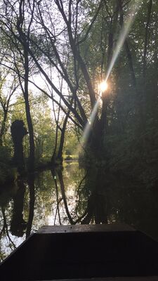 IMG_5861.JPG