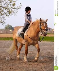 équitation.jpg