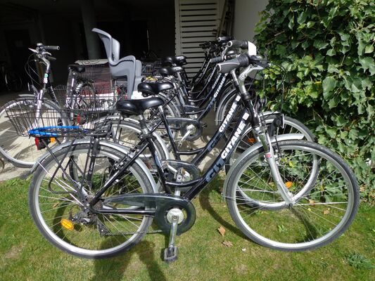 La location de vélo