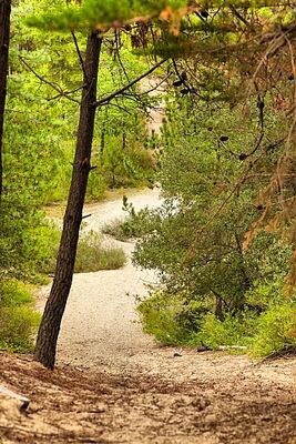 boucleN°21(2) St Hilaire de Riez3.jpg