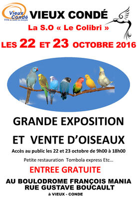 expo-oiseaux-vieux-condé.jpg