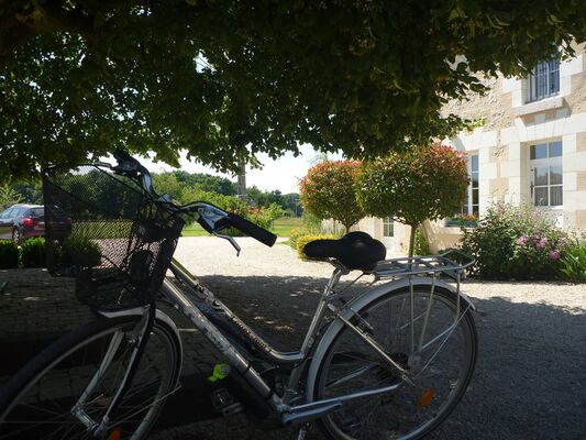 LA_LEVRAUDIERE_Chambre_dhote_Charme_Cheverny_la-cour.jpg