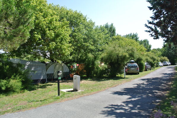 camping municipal les portes en ré (2).JPG