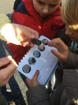 Petits explorateurs6.JPG