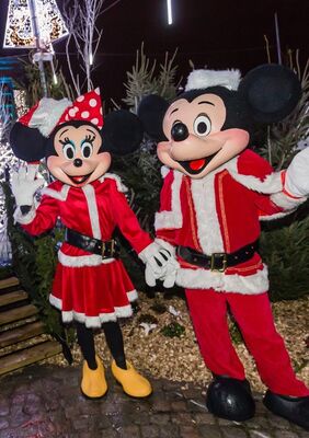 Mascotte mickey minnie.jpg