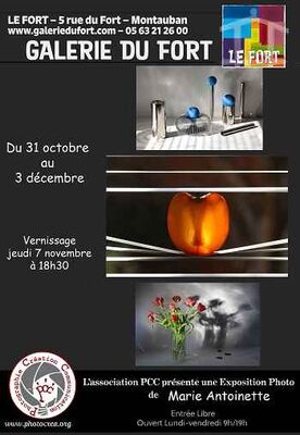 31.10 au 03.12.2019 exposition Pour le plaisir des yeux Galerie du Fort Montauban.jpg