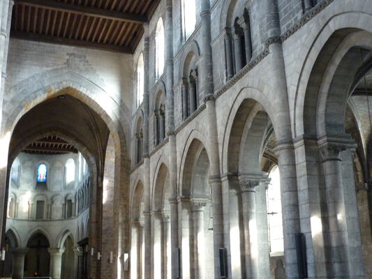 collégiale saint omer lillers nef.JPG