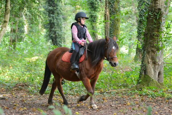 Poney_Club_Keraudrenic_Langonne (5).JPG
