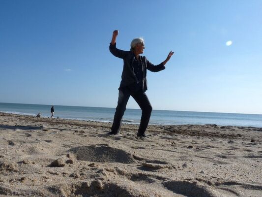 taichi-lacouarde-iledere-1.jpg