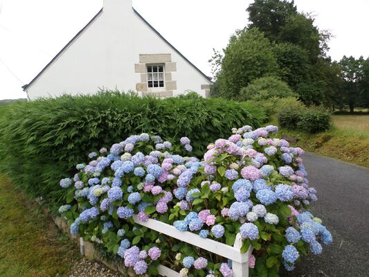 La_Maison_Bleue_StTugdual (2).jpg