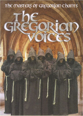Capture Gvoices.jpg