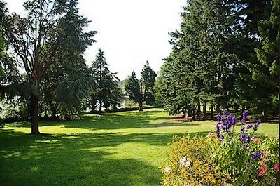 chateaudelaroche-parc-sit.JPG