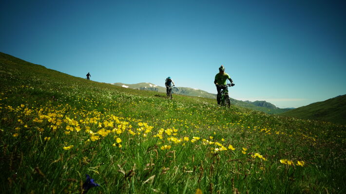 vtt beille été.JPG