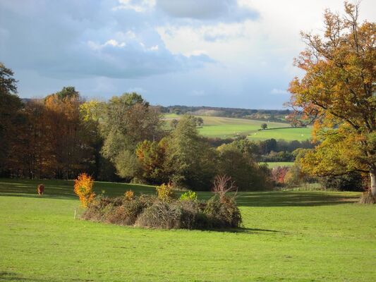 le-pin-les-roches-blanches-le-pavillon-paysage.jpg