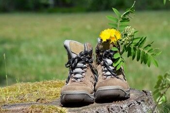 chaussures-randonnee.jpg