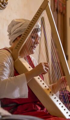 Concert_harpe_sandra_florence_eglise_La_Roche_Posay.jpg