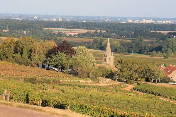 Saint-Martin-Sous-Montaigu-eglise-mairie-patrimoine-OT (16).JPG