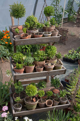 Jardin de Marta - Adriers ©Jardin de Marta (1).jpg