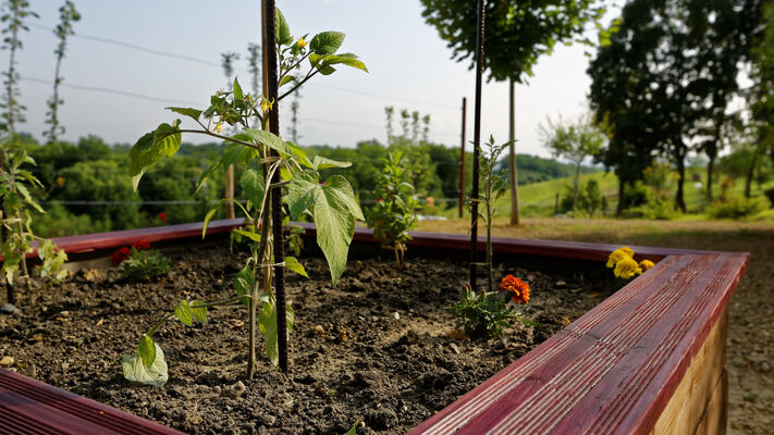 Carré potager Full HD.jpg
