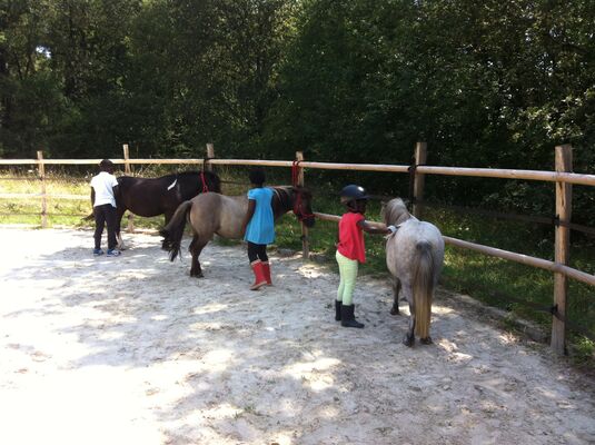 Balade_poney_ferme_Grillaults_La_Roche_Posay (1).JPG