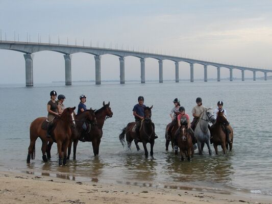 ecuriesdumoulinmoreau-laflotte-iledere-pont.jpg