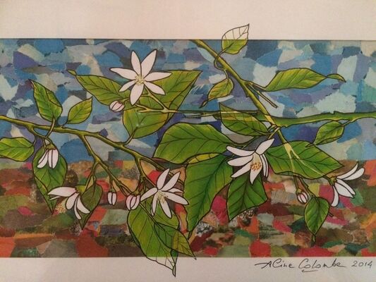 Expo Aline Colombe.jpg