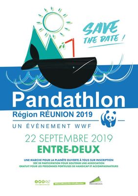 Affiche-Pandathlon-2019-724x1024.jpg