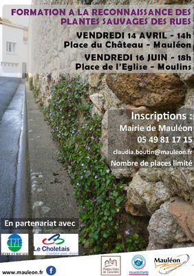Affiche formation.jpg