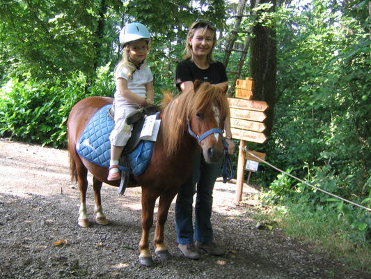 poney.JPG