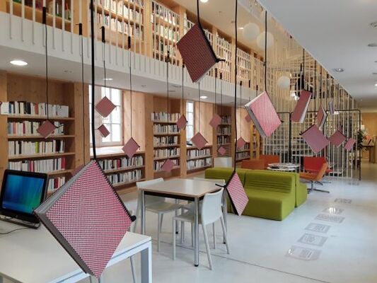06.01.20 au 14.02.20 bibliothèque suspendue.jpg