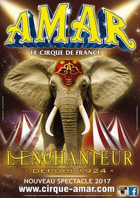 cirque amar sit.jpg
