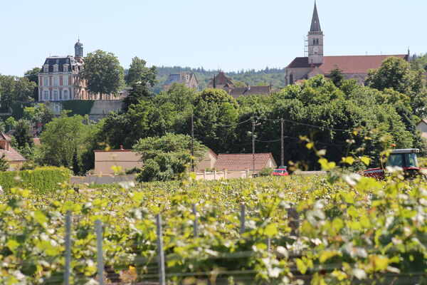 Rully-chateau-vignes