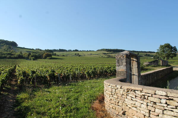 Vignoble Givry (6).JPG