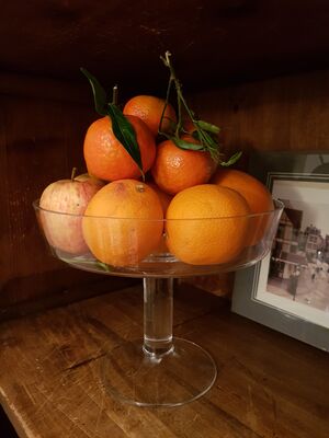 Fruits.jpg