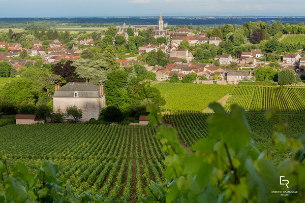 Vignobles de Rully