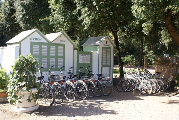 CAMPING LE PUMA - La Couarde-sur-Mer | Destination Ile de Ré