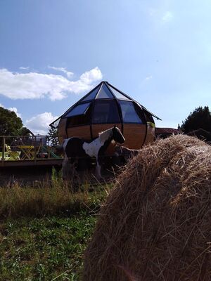 saint-andre-sur-sevre-goutte-do-campagne.jpg