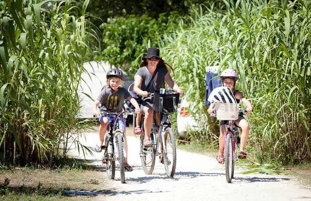 167958_camping_les_baleines_allee_du_camping.jpg