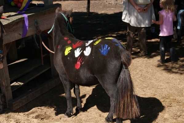 ecuriesdumoulinmoreau-laflotte-iledere-poney.jpg