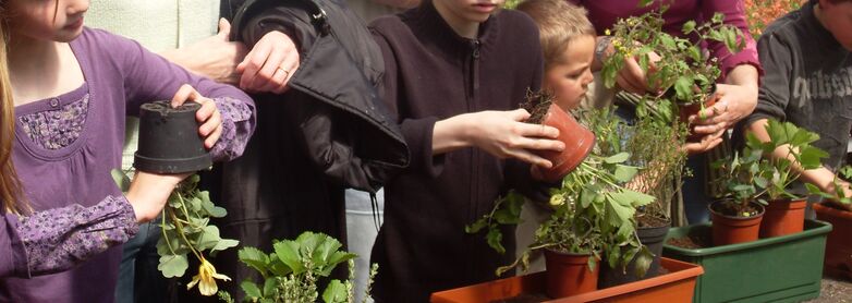 Jean Dubois jardinières2.jpg