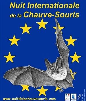 affiche_nuit_internationale-p.jpg