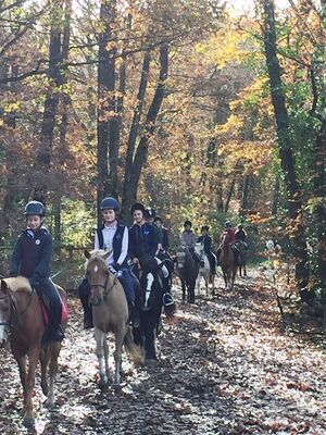 randonnee cheval laval