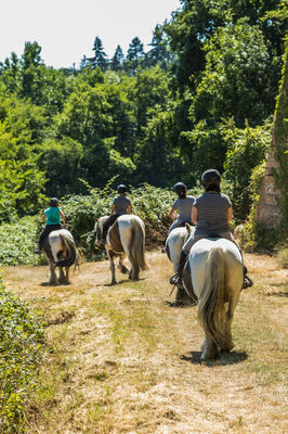 Balade Cheval.jpg