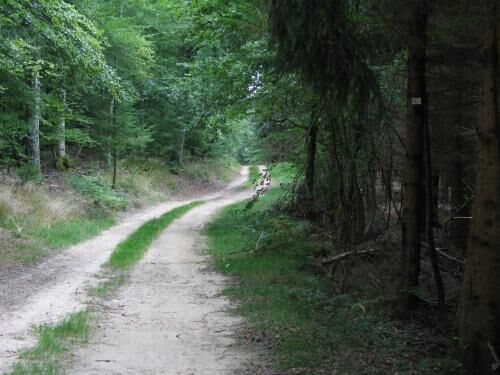 circuit-feigne-orientale.jpg