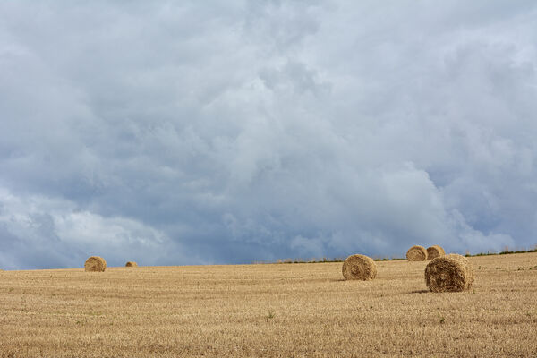 rouleau paille - HD - @M-A Gouret-Puillandre.jpg