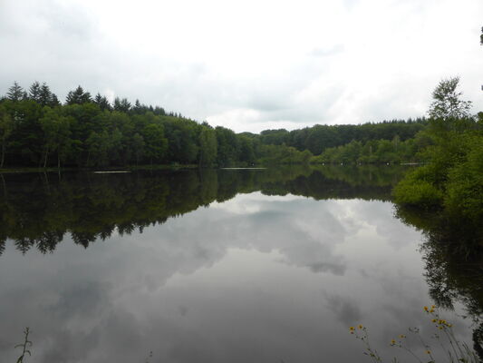 etang_de_bult.jpg
