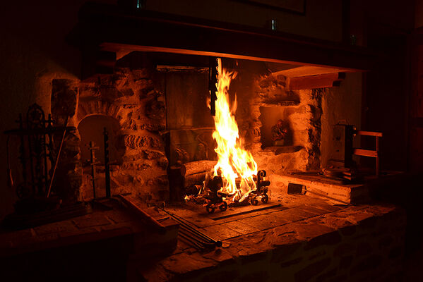 DSC_0497.JPG