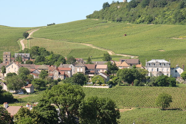 Mercurey-vins-vignes-paysages-OT (93).JPG