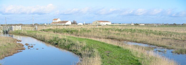 sentier des polders 5.jpg